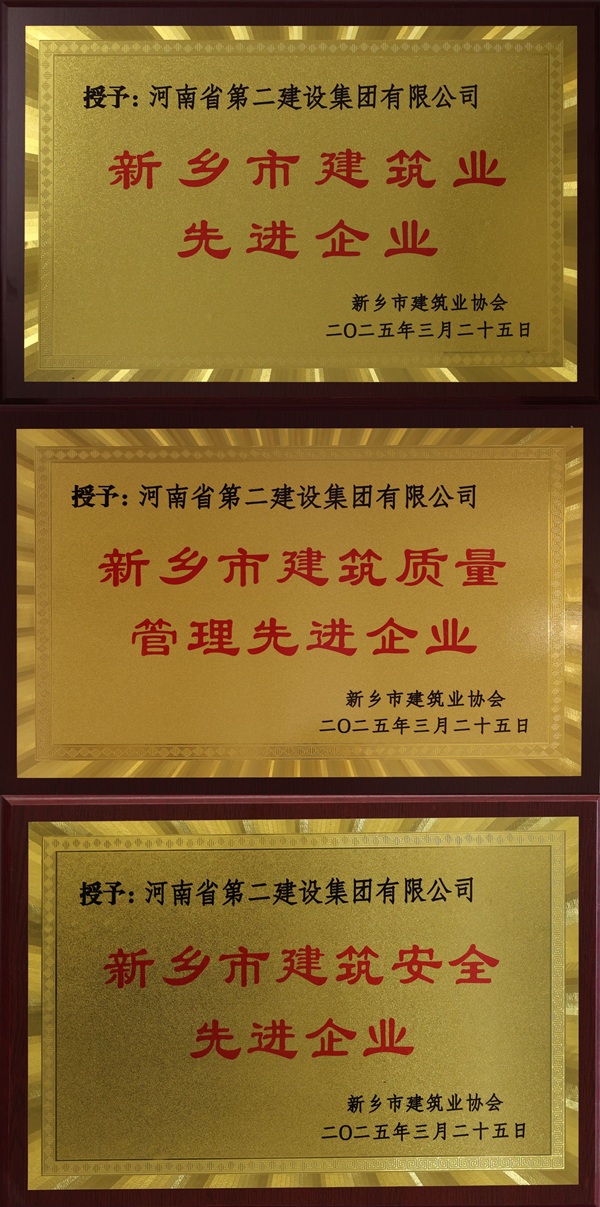 拼搏中国奖牌拼图.jpg
